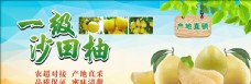 春季超市设计柚子海报生鲜水果
