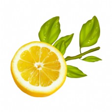 手绘绿叶柠檬元素