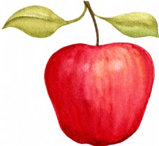 红色苹果透明装饰素材