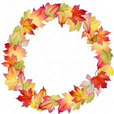 抠图专用秋天树叶花环透明装饰素材