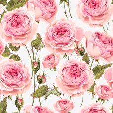 唯美手绘粉色玫瑰花背景