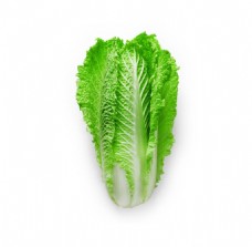 绿色蔬菜厨房新鲜蔬菜一颗大白菜psd源文件