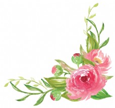 抠图专用水彩绘画花卉卡通透明素材