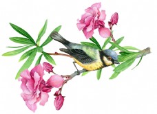 抠图专用粉嫩花卉与小鸟卡通透明素材