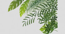 绿树漂亮绿色树叶免抠psd透明素材