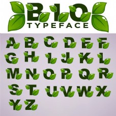 植物叶子字母字体图片