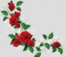鲜花鲜红色玫瑰花卉边框免抠psd透明素材