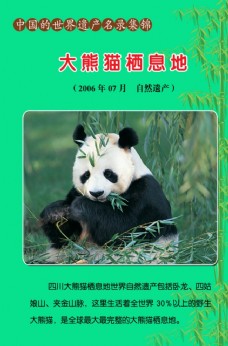 大熊猫栖息地