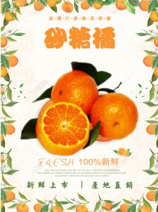 砂糖橘水果美食宣传海报设计