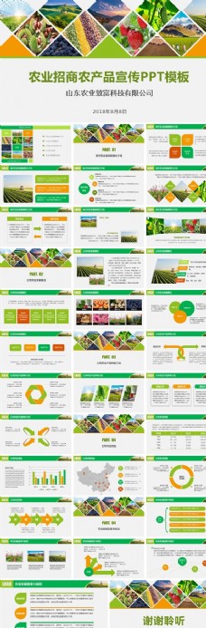 绿色蔬菜农产品企业宣传农产品招商
