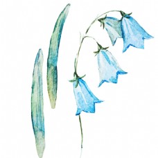 清新蓝色花卉卡通透明素材