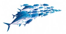 蓝色海洋鱼群png元素素材