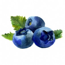 抠图专用水果蓝莓卡通透明素材