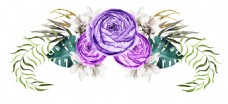 抠图专用紫色梦幻花卉卡通透明素材