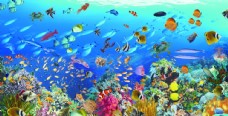 海底世界超级海底大世界