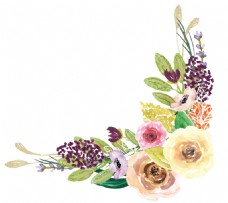抠图专用多彩盛开花卉卡通透明素材