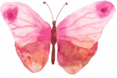 抠图专用粉色蝴蝶卡通透明素材