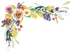 抠图专用多彩花卉边框卡通透明素材