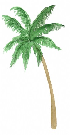 抠图专用椰子树卡通透明素材