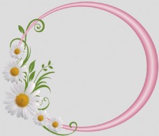 圆形素材粉红色圆形菊花边框免抠psd透明素材