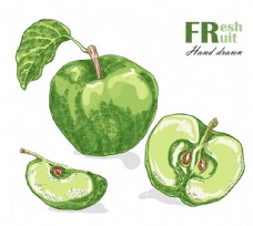 绿色蔬菜手绘水果