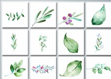 水彩效果水彩手绘植物绿叶png免抠素材