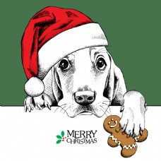 宠物狗过圣诞节的可爱小狗插画