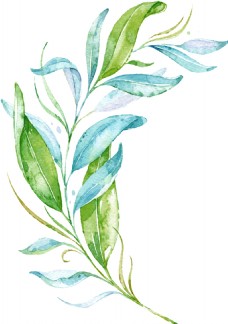 素雅植物卡通水彩透明素材