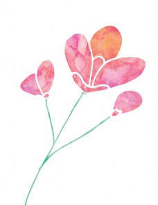 文艺花卉卡通水彩透明素材