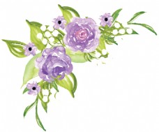 紫色高雅花卉卡通水彩透明素材