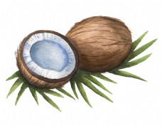 热带水果椰子卡通透明素材