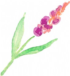 抠图专用绘画花卉植物卡通透明装饰素材