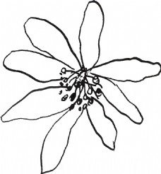手绘黑色花卉卡通透明素材