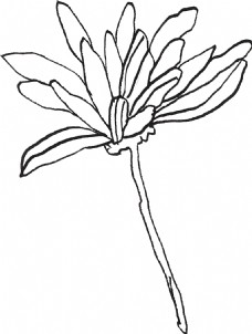 朴实手绘花卉卡通水彩透明素材
