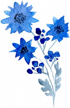 水蓝花叶卡通透明素材