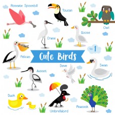 鸟类动物可爱鸟类主题动物儿童插画