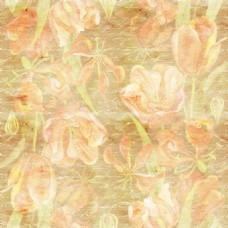 手绘透明粉花朵背景图jpg背景素材