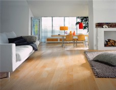 家居地板现代风格实木地板设计效果图