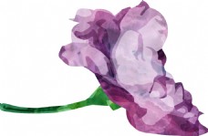 紫色创意花朵卡通水彩透明素材
