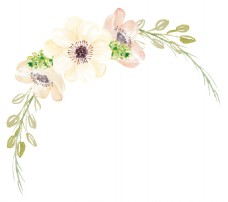 婚礼元素花卉卡通透明素材