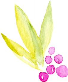 水彩水墨植物卡通透明素材