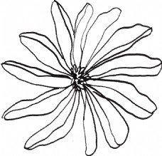 抠图专用简笔画花卉卡通透明素材