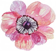粉色文艺花卉卡通水彩透明素材