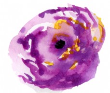 紫色芬芳花卉透明素材
