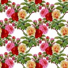 唯美背景浪漫唯美的三色玫瑰花背景