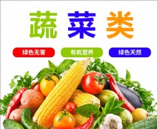 绿色蔬菜蔬菜展板蔬菜海报