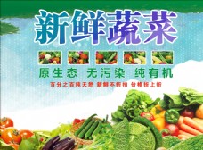 蔬菜蚕豆超市蔬菜蔬菜展板蔬菜海报