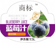 蓝莓标设计模板