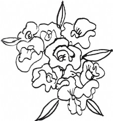复杂手绘花朵卡通透明素材