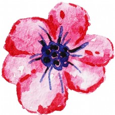 粉色系渐变花朵卡通水彩透明素材